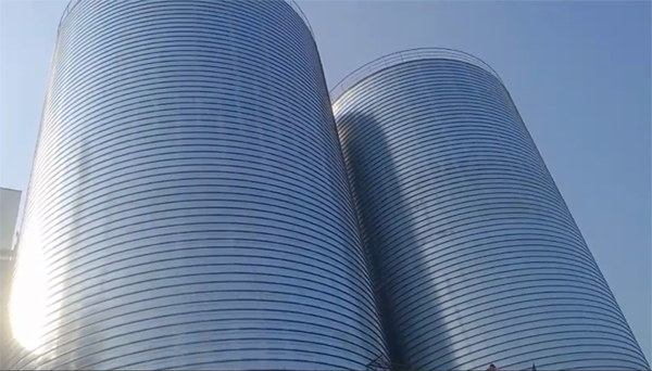 宿豫2座混凝土高架卷板仓